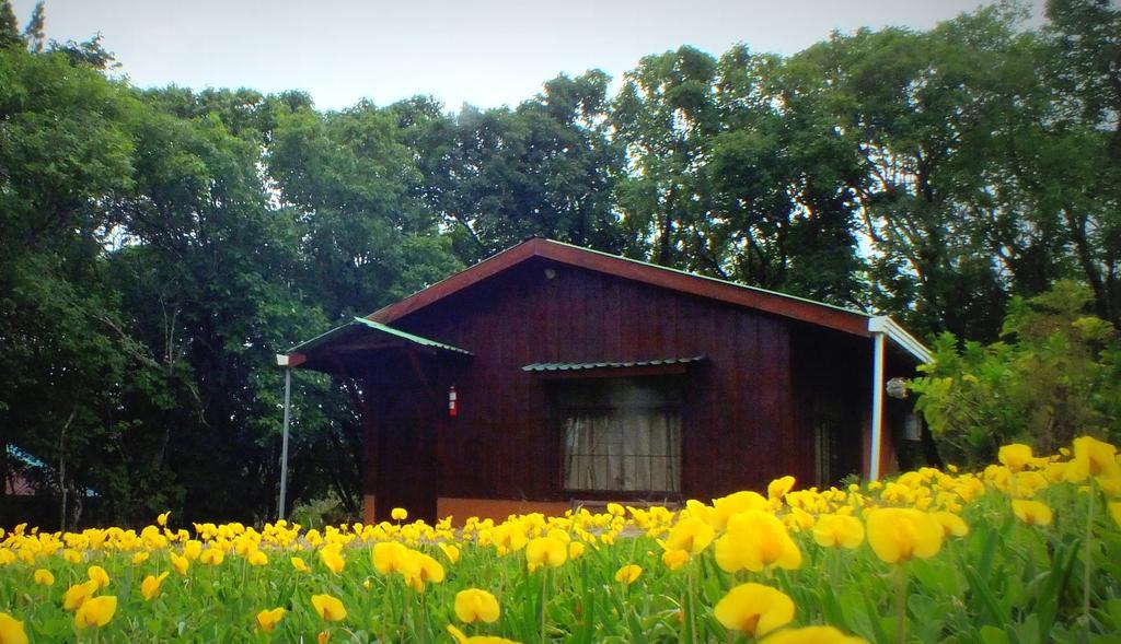 Cabanas La Pradera Monteverde Εξωτερικό φωτογραφία