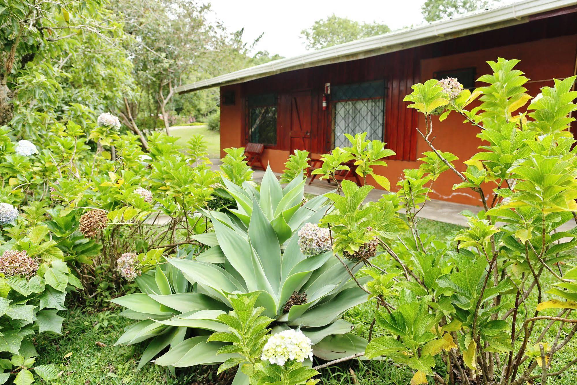 Cabanas La Pradera Monteverde Εξωτερικό φωτογραφία